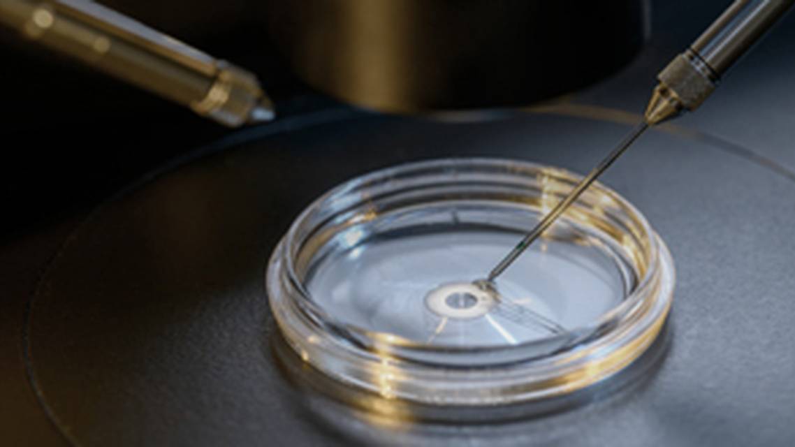 ReachMD Healthcare Image