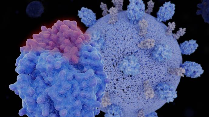 ReachMD Healthcare Image