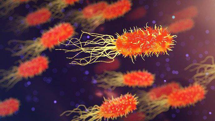Land Use Changes May Increase Disease Outbreak Risks