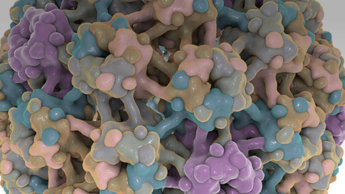 ReachMD Healthcare Image