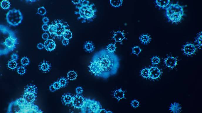 ReachMD Healthcare Image