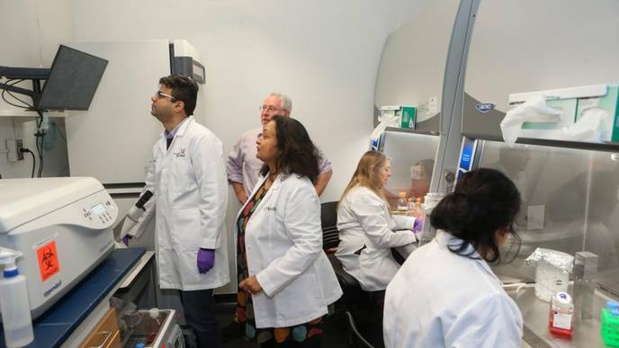 Study Reveals Potential New Treatment for Patients with Melanoma