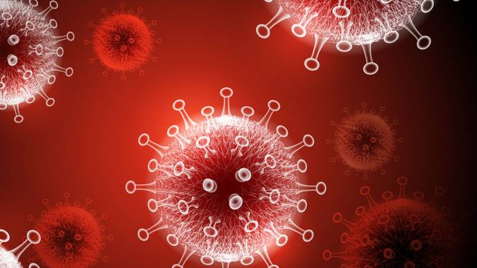 ReachMD Healthcare Image