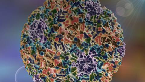 Use of HPV Genotyping for Triage in a 36-Year-Old Woman