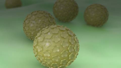 The HPV Data Is In — What Do the Newest Updates in Screening Mean For Your Patients?