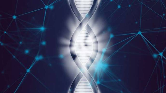 Novel Drug Combination Could Treat a Particularly Deadly Form of Leukemia