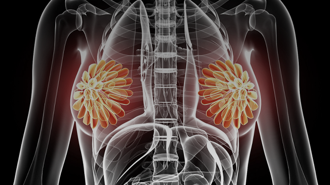 ReachMD Healthcare Image