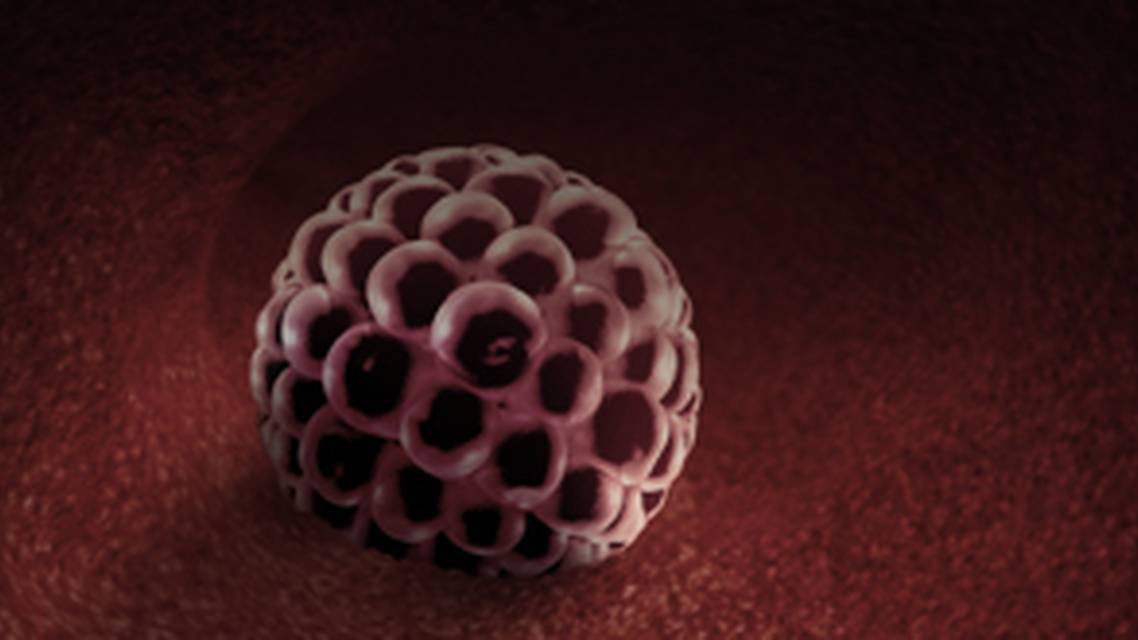 ReachMD Healthcare Image