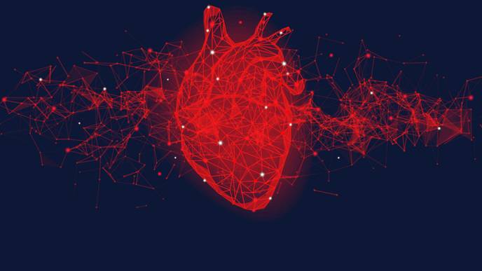 ReachMD Healthcare Image