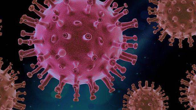Explaining Severe Virus Attacks on the Lungs