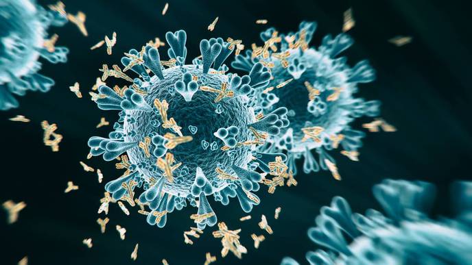 New Saliva-Based Antibody Test for COVID-19 Highly Accurate in Initial Study