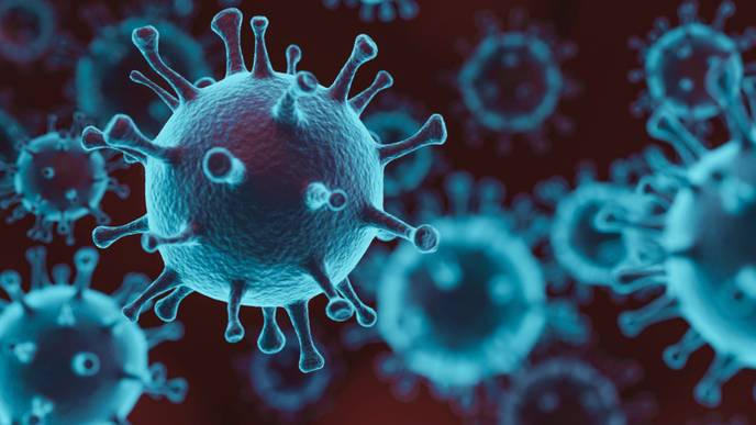 ReachMD Healthcare Image