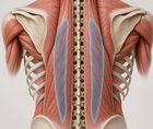 bilateral esp block in breast reduction mammoplasty trial