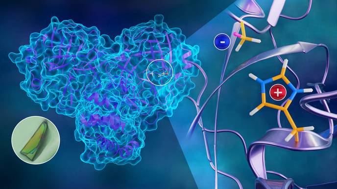 Neutrons Chart Atomic Map of COVID-19's Viral Replication Mechanism
