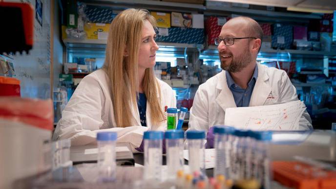 Biological ‘Atlas’ Shows Dual Personality for Immune Cells That Cause Type 1 Diabetes