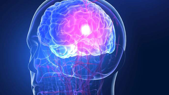 ReachMD Healthcare Image