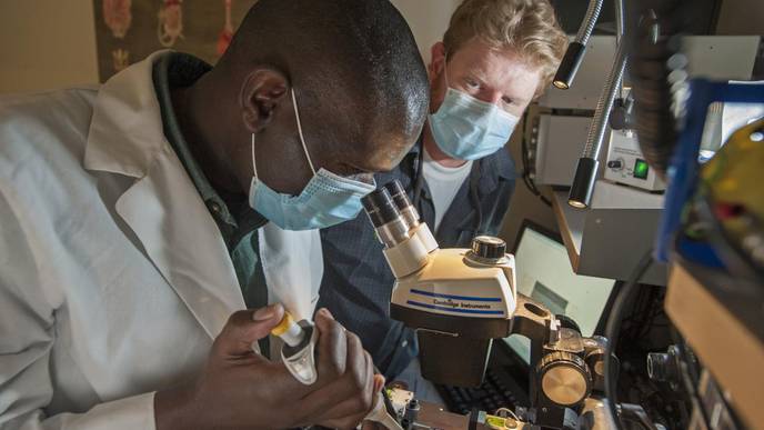 Study Reinforces Drug's Potential to Treat Hypertrophic Cardiomyopathy