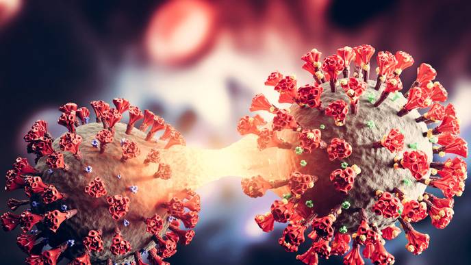 ReachMD Healthcare Image