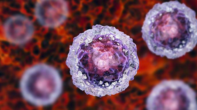 UC Davis Researchers Find a Way to Help Stem Cells Work for the Heart