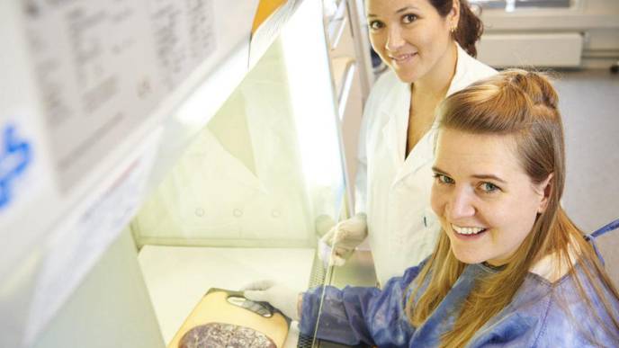 Important Cause of Preeclampsia Discovered