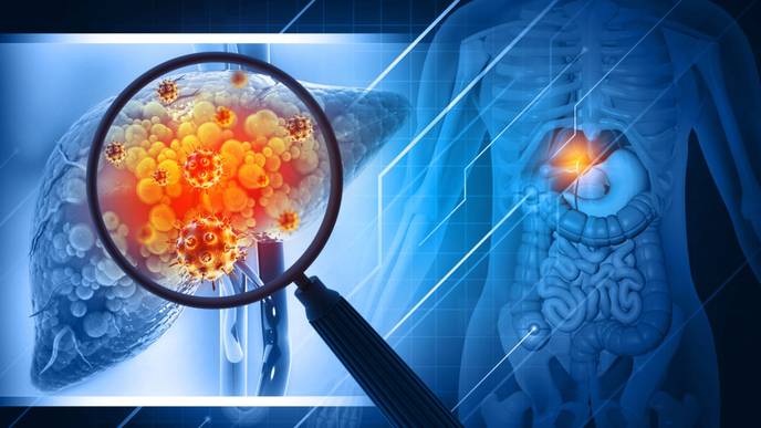 ReachMD Healthcare Image