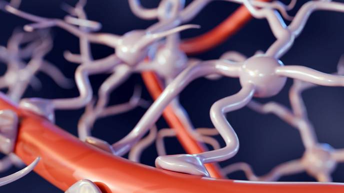 ReachMD Healthcare Image