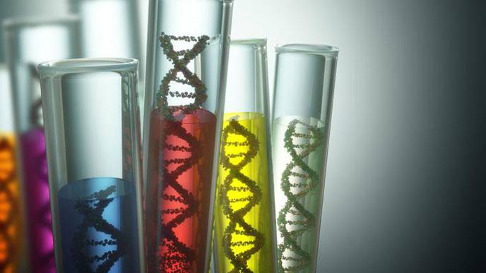 New Test for Rare Disease Identifies Children Who May Benefit from Simple Supplement