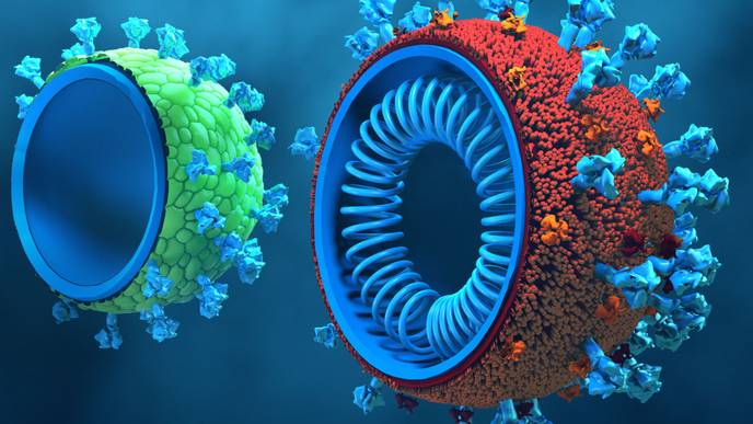ReachMD Healthcare Image