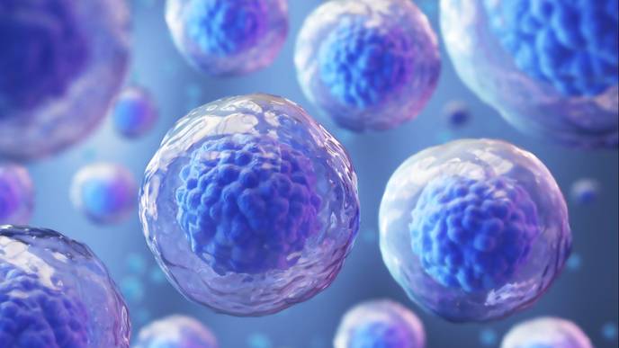 ReachMD Healthcare Image