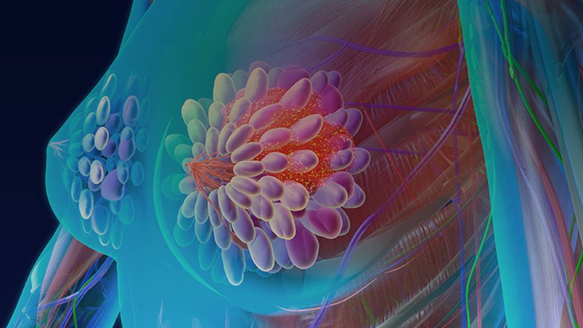 ReachMD Healthcare Image