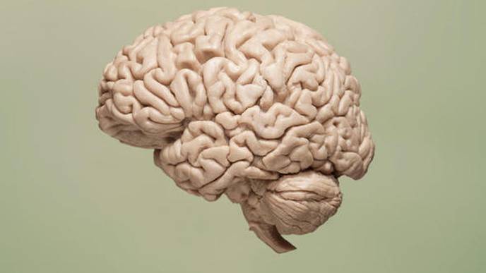 Study Identifies New Neurodegenerative Disorder