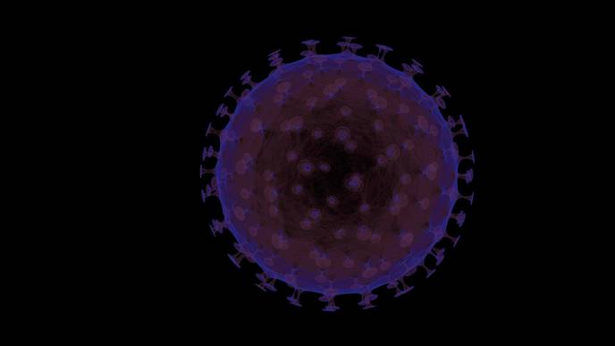 The Impact of Human Mobility on Disease Spread