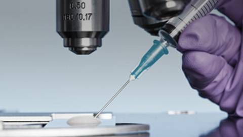 Day-to-Day Workflow in the IVF Laboratory: What You Need to Know