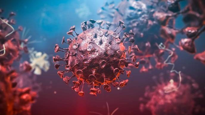 ReachMD Healthcare Image