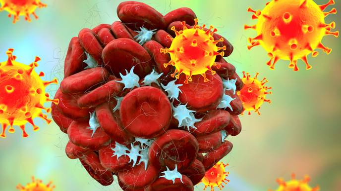 ReachMD Healthcare Image