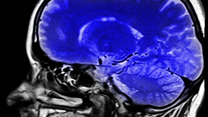 ReachMD Healthcare Image