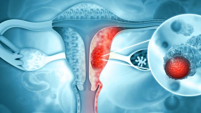 ReachMD Healthcare Image