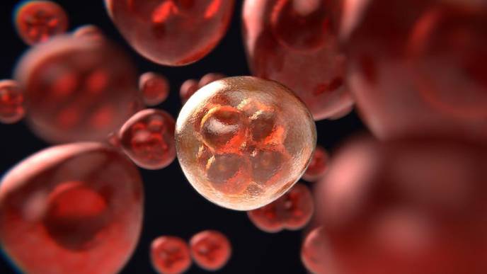 Using AI to Hunt for Breast Cancer