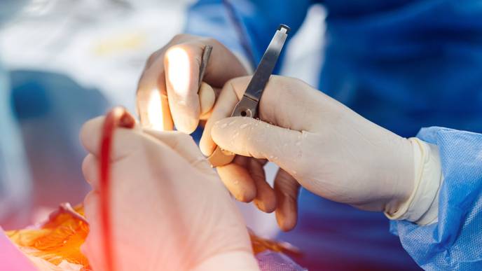 ReachMD Healthcare Image