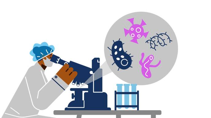 ReachMD Healthcare Image