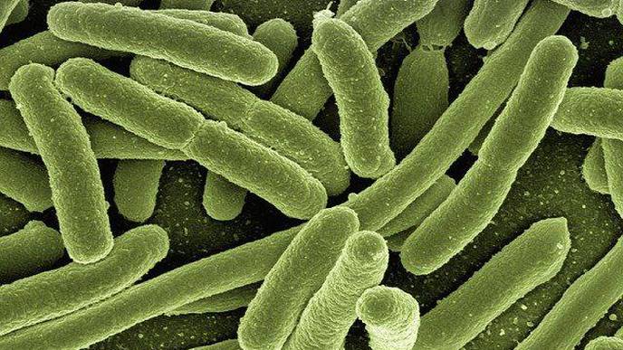 Medieval Medicine Remedy Could Provide New Treatment for Modern-Day Infections