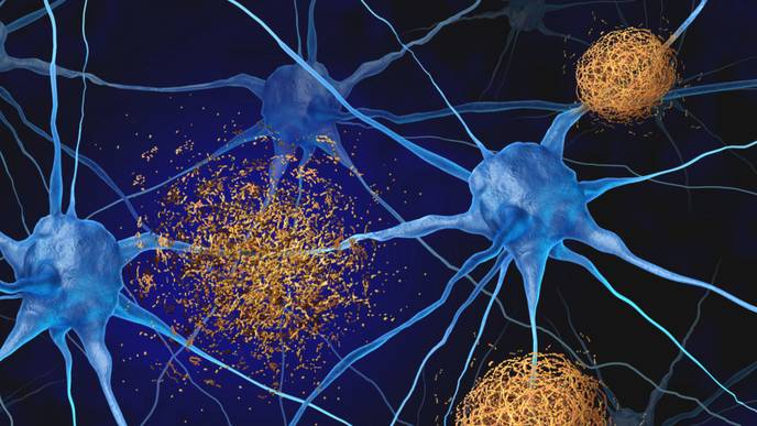 ReachMD Healthcare Image