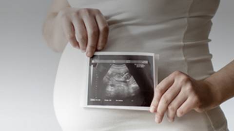 Case Reports in Fertility
