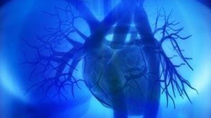 New Report Offers Guidance on Cardiac Screening of Athletes Infected with COVID-19